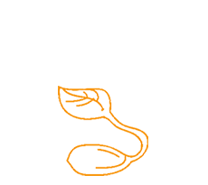 2006 2006